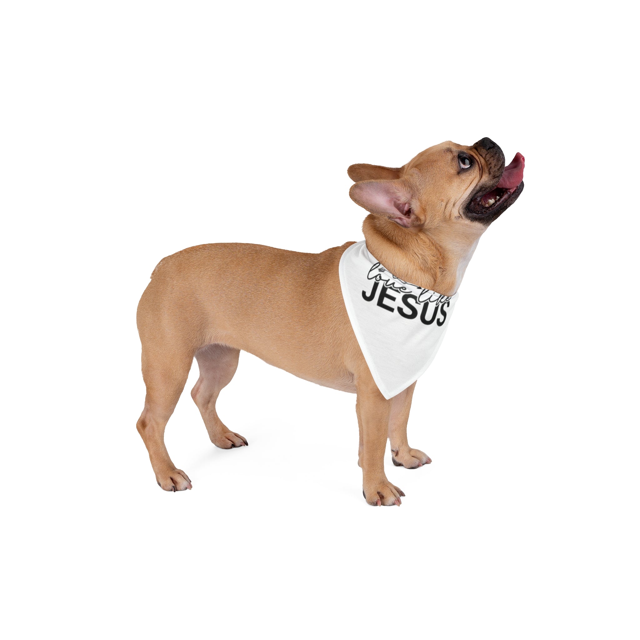 Pet Bandana — "Love Life's Jesus" Christian Dog Bandana, Faith Pet Accessory for Church, Easter & Daily Wear